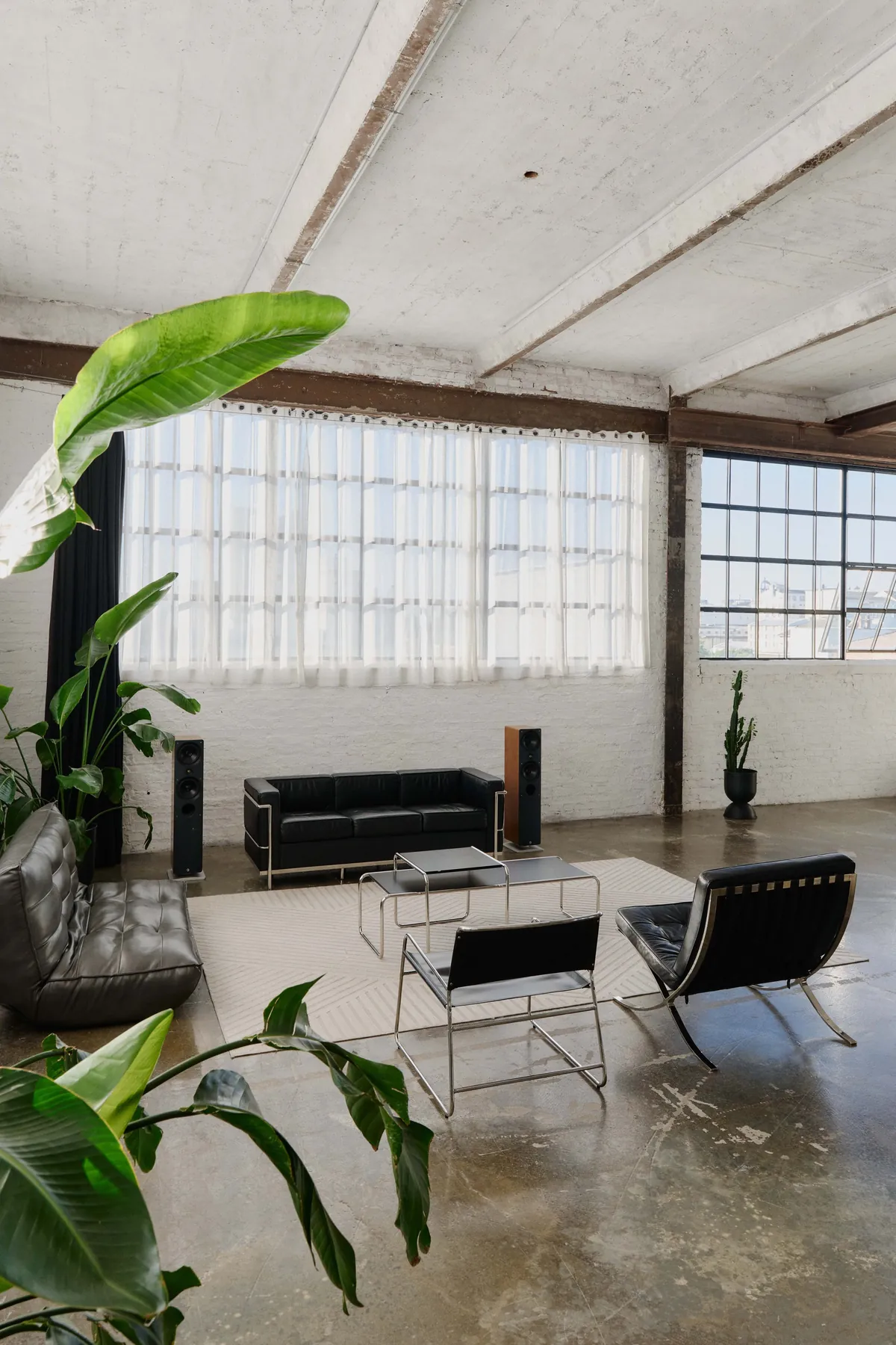 Brooklyn Studio — Gitterfensterfront